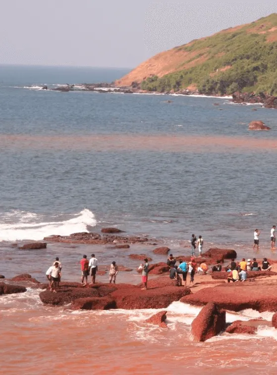 Anjuna Beach