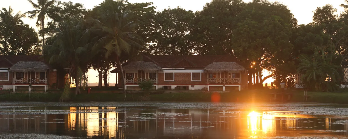 Coconut Lagoon