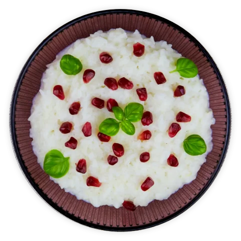 Curd Rice